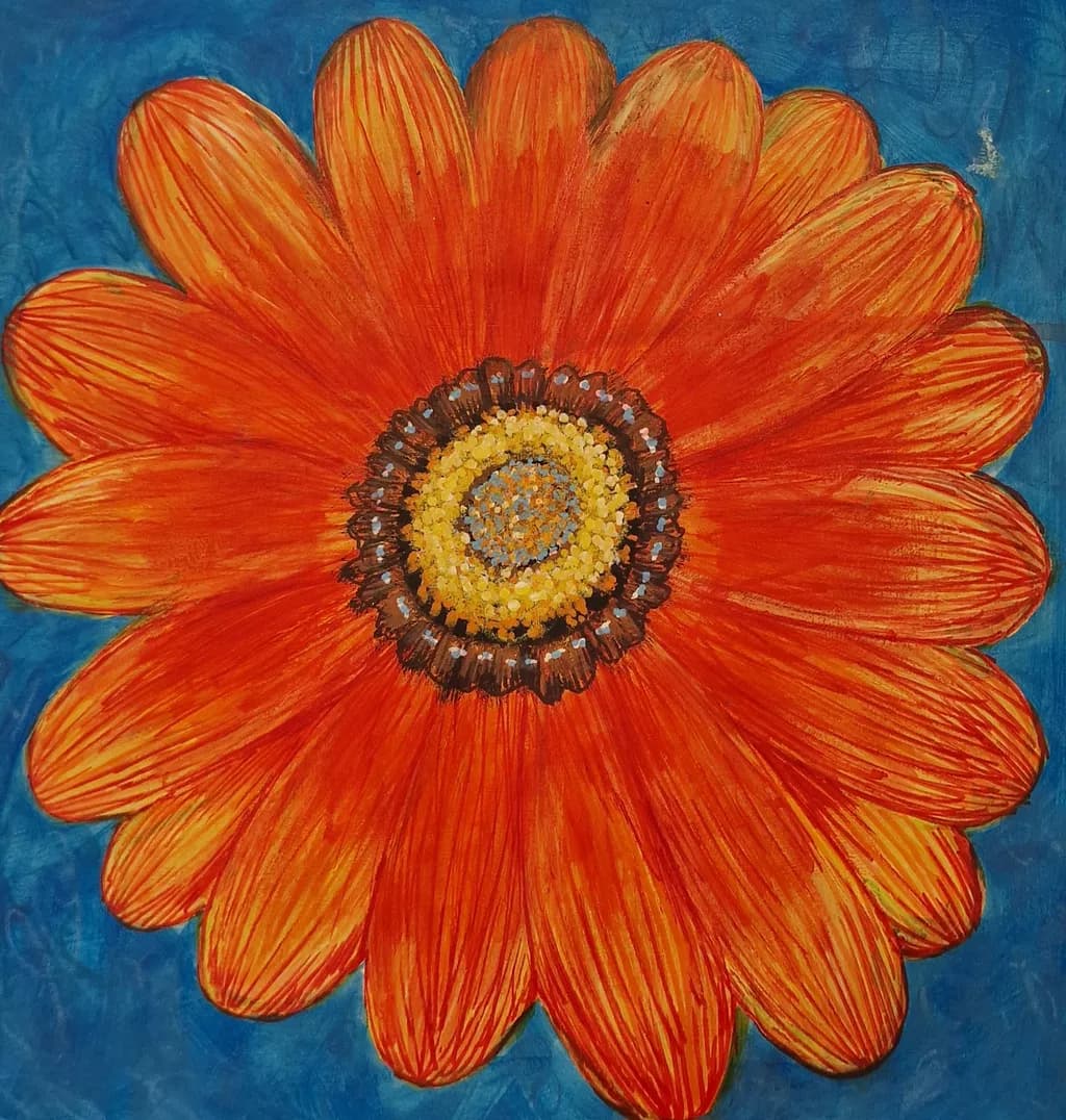 Vibrant Orange Blossom: A Celebration of Nature's Beauty