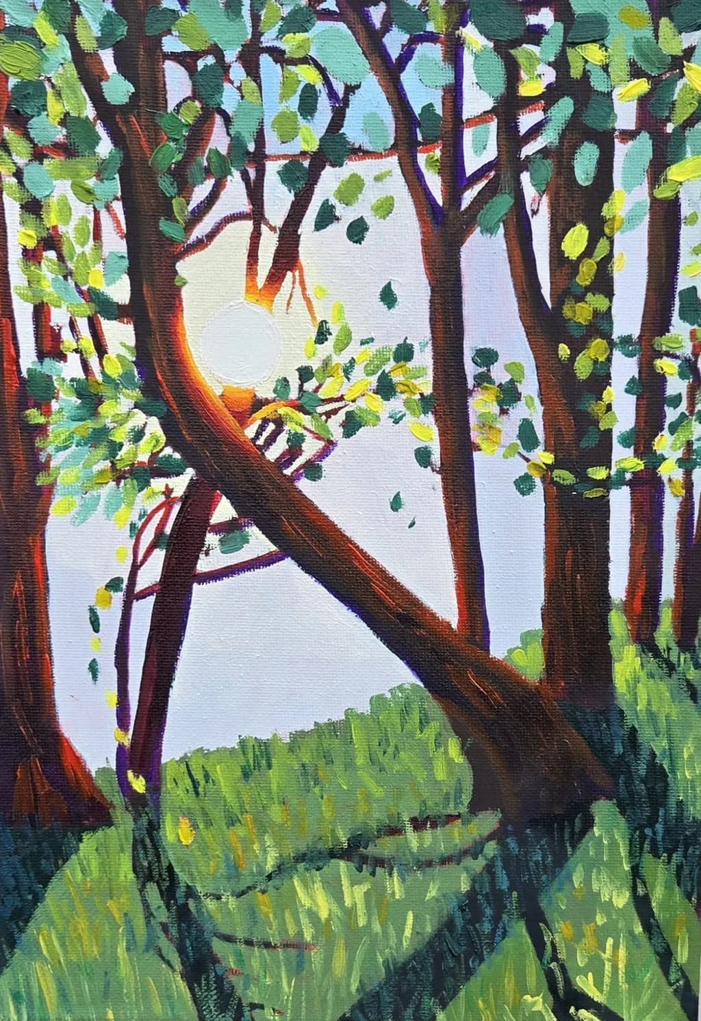 Whispers of Light: A Serene Sunset Through the Trees