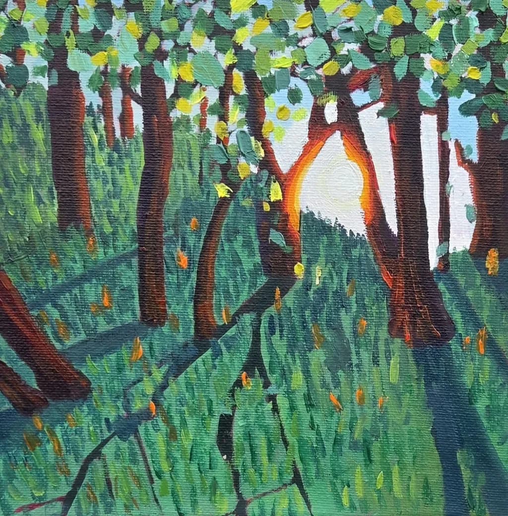 Whispers of Light: A Serene Forest Awakening at Dusk