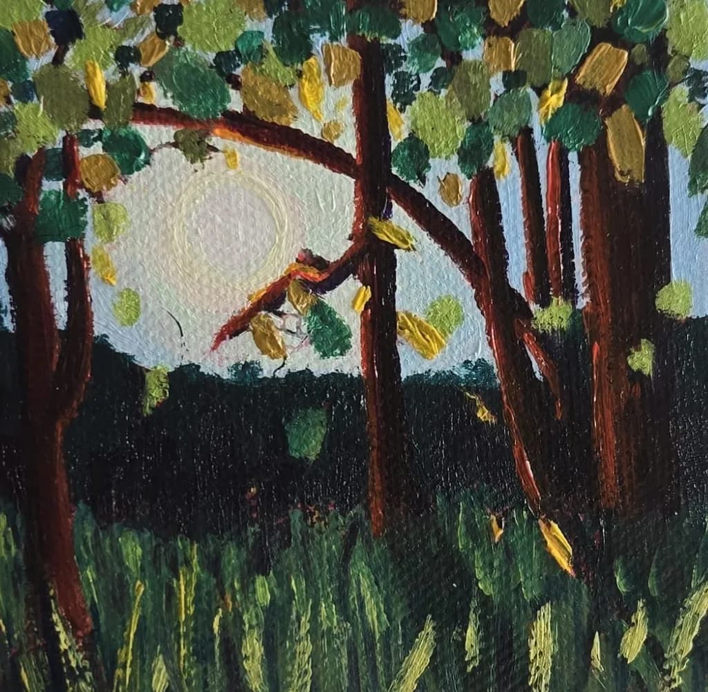 Whispers of the Forest: A Serene Evening Under the Canopy