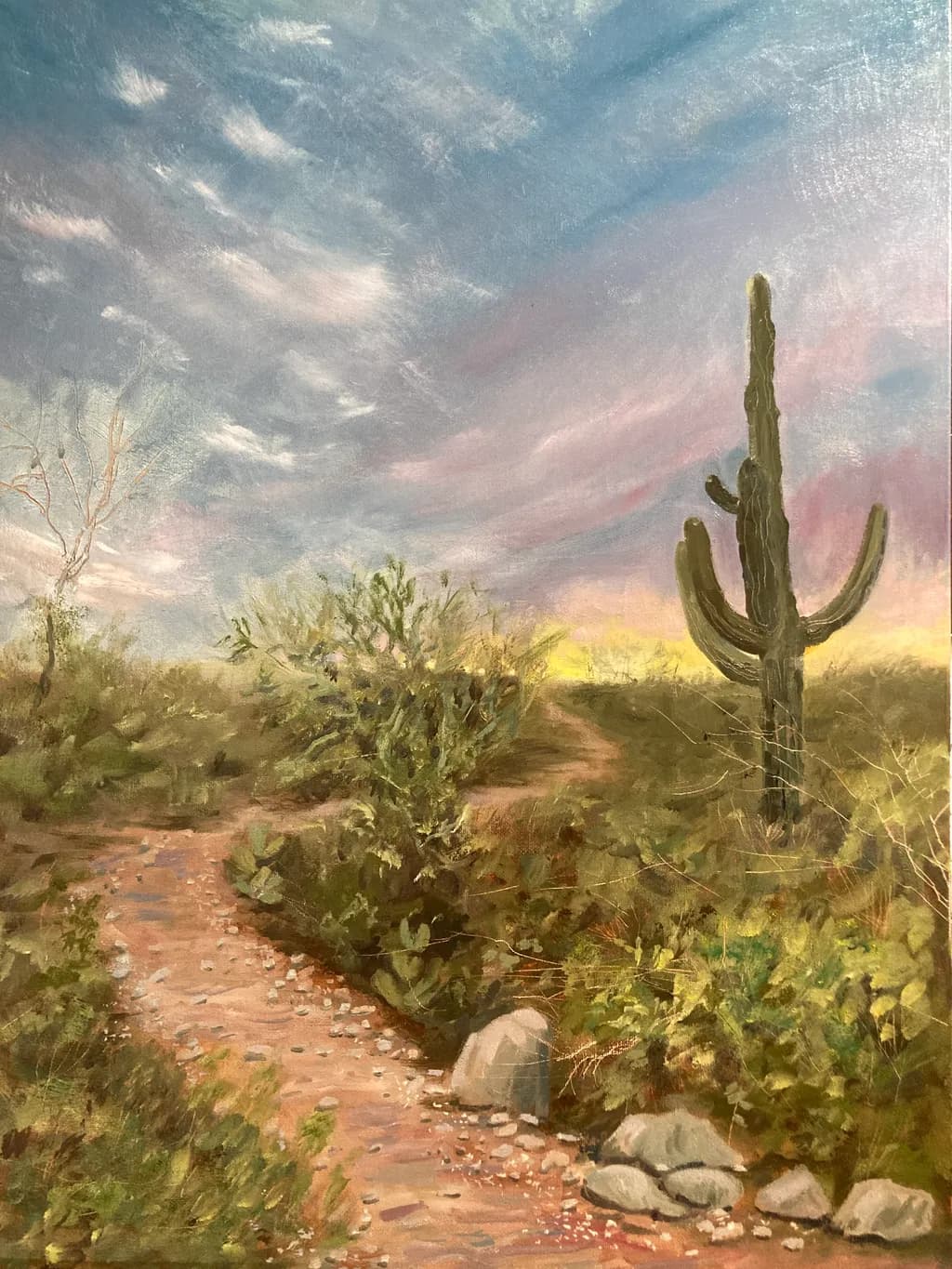 Desert Serenity: A Pathway Through Cacti Under a Colorful Sky