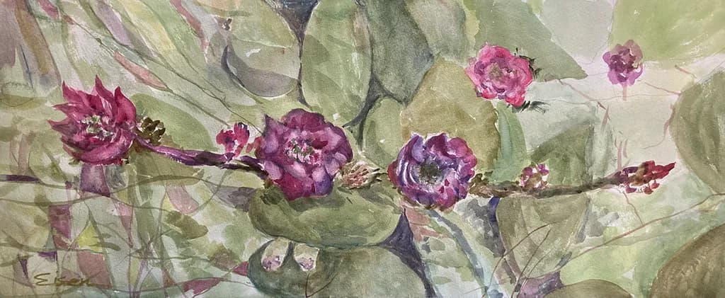 Desert in Bloom
