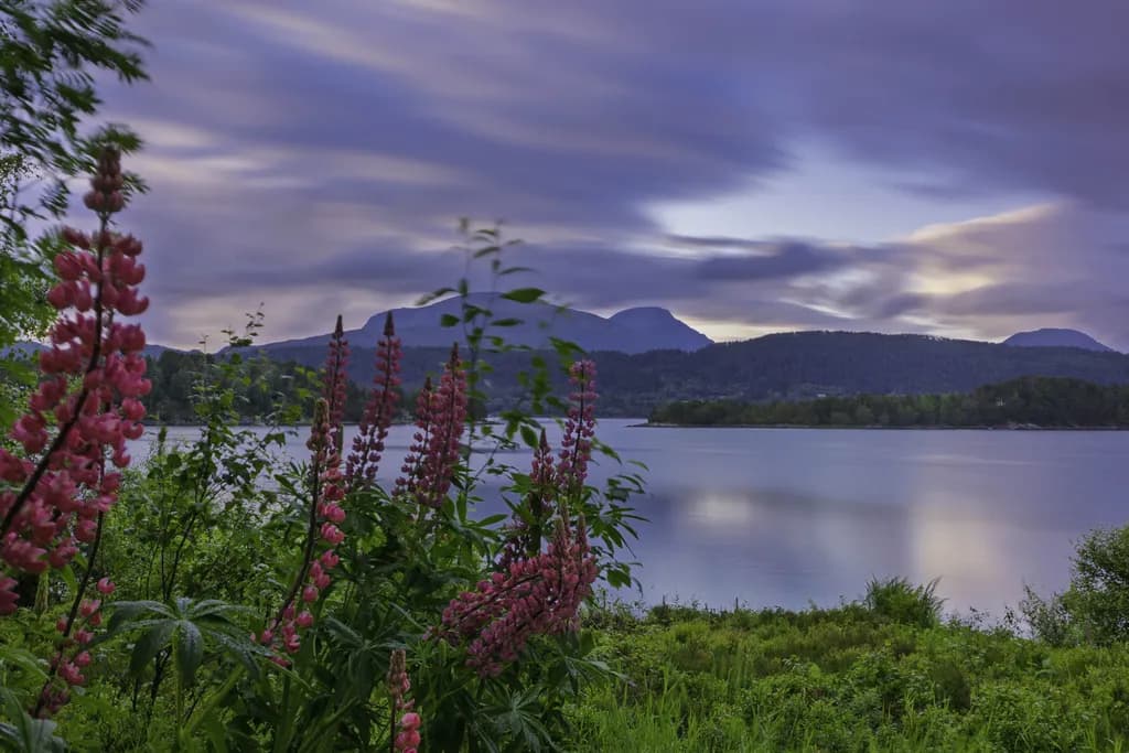 Lakeside Tranquility