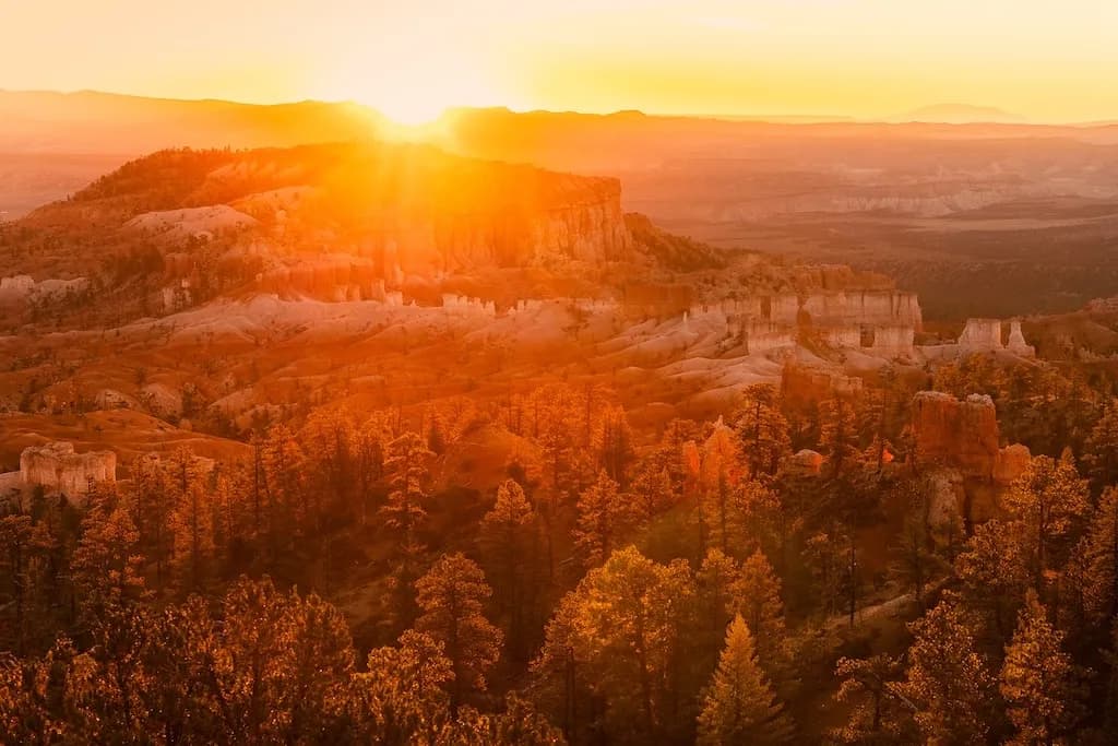 Golden Horizon