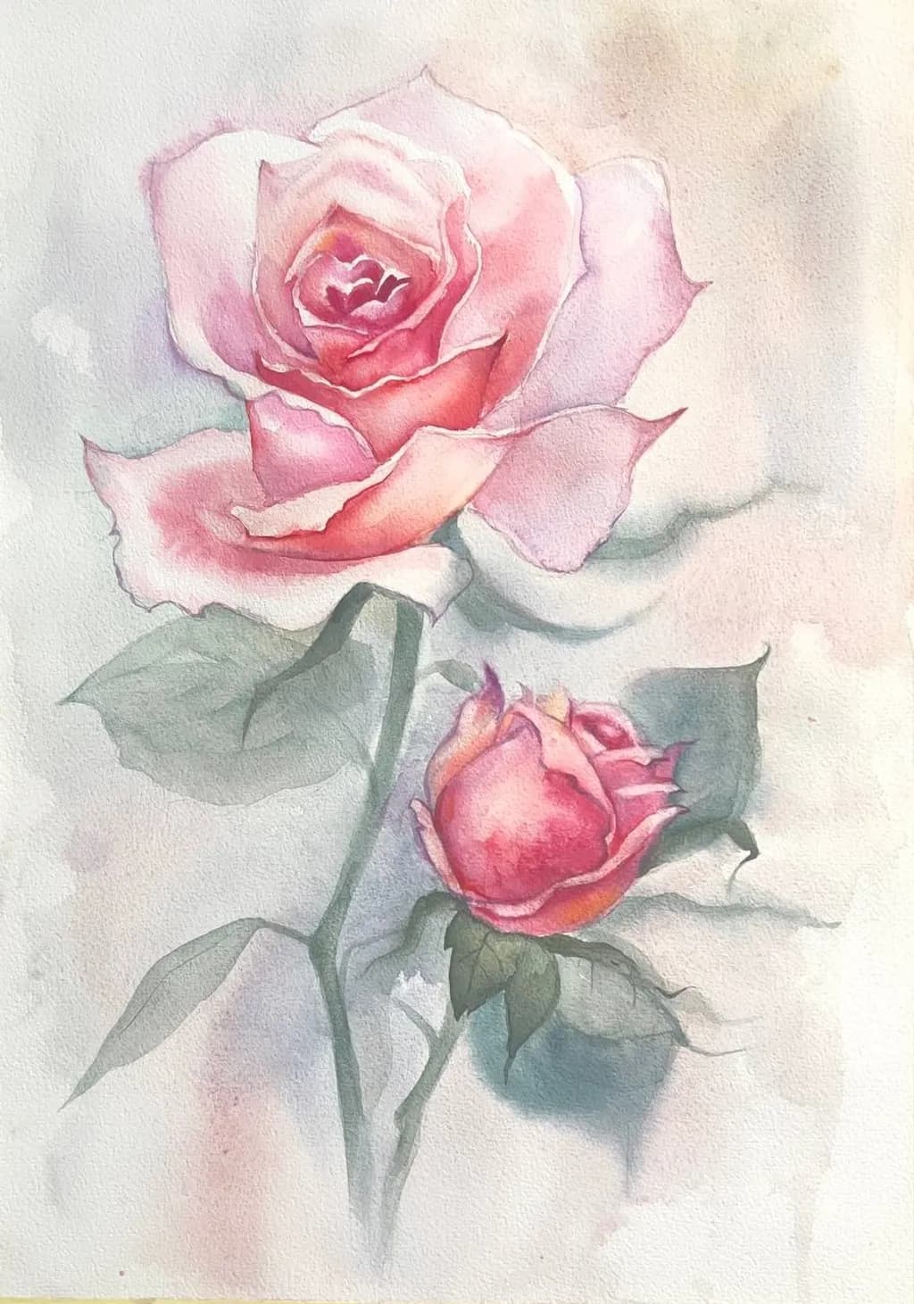 Pink Rose Duo