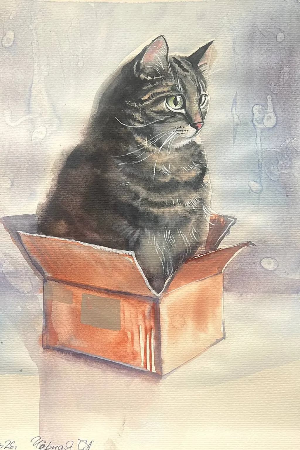 Curious Cat in a Box