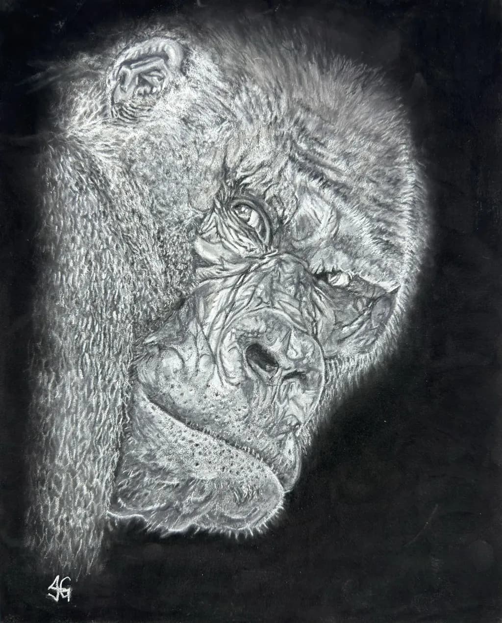Wildlife 9