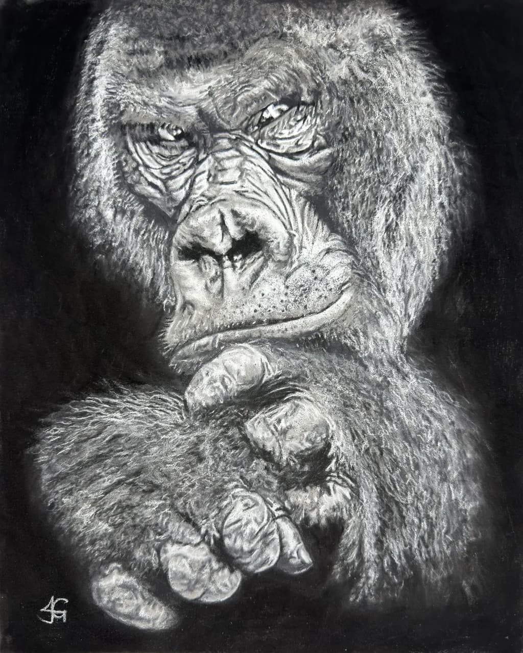 Wildlife 8
