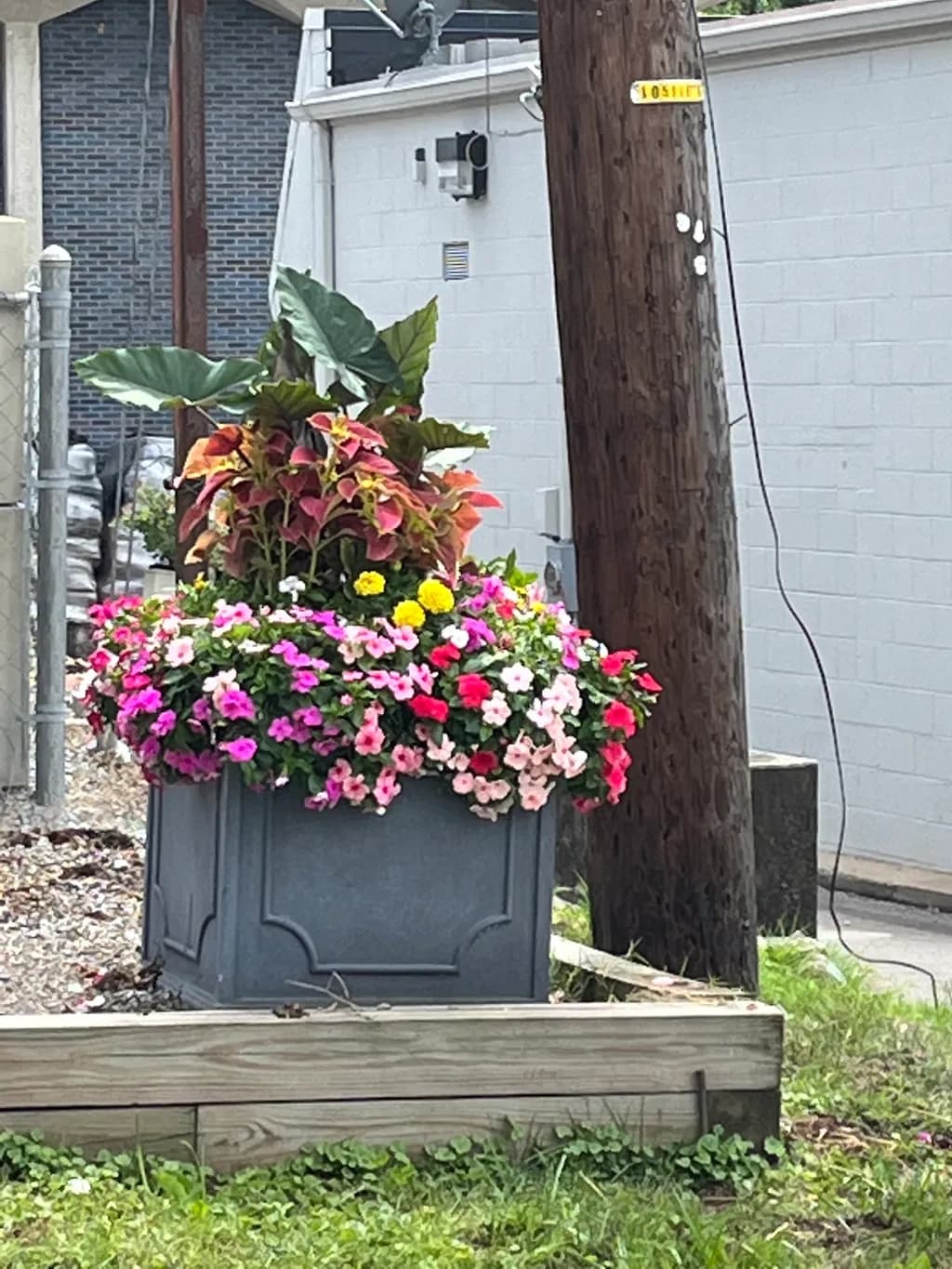 Vibrant Urban Oasis: A Colorful Floral Display in a Concrete Jungle