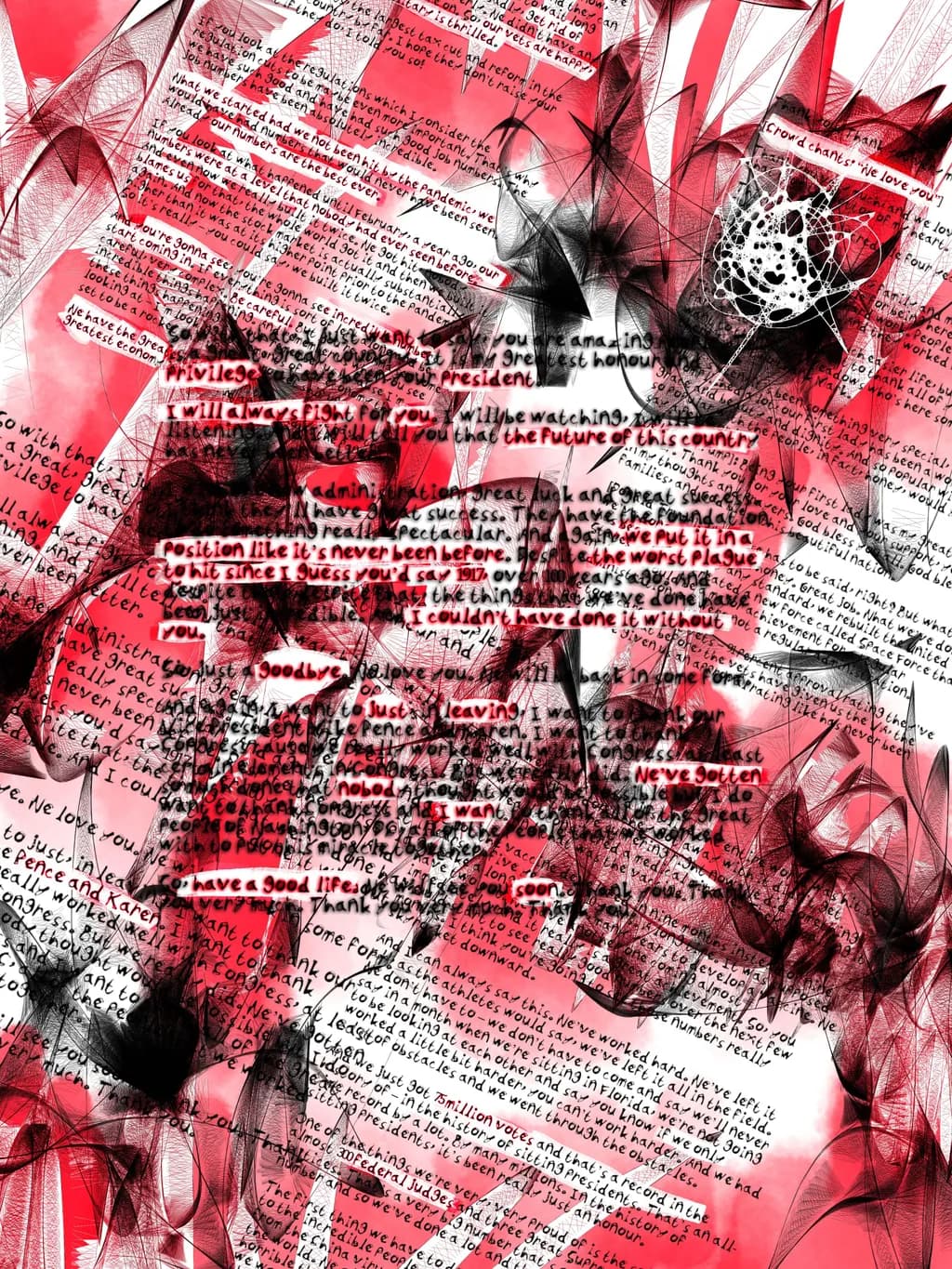 Echoes of Change: A Visual Dialogue on Privilege and Power
