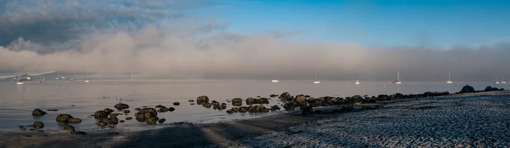Quiet Symphony of fog and frost