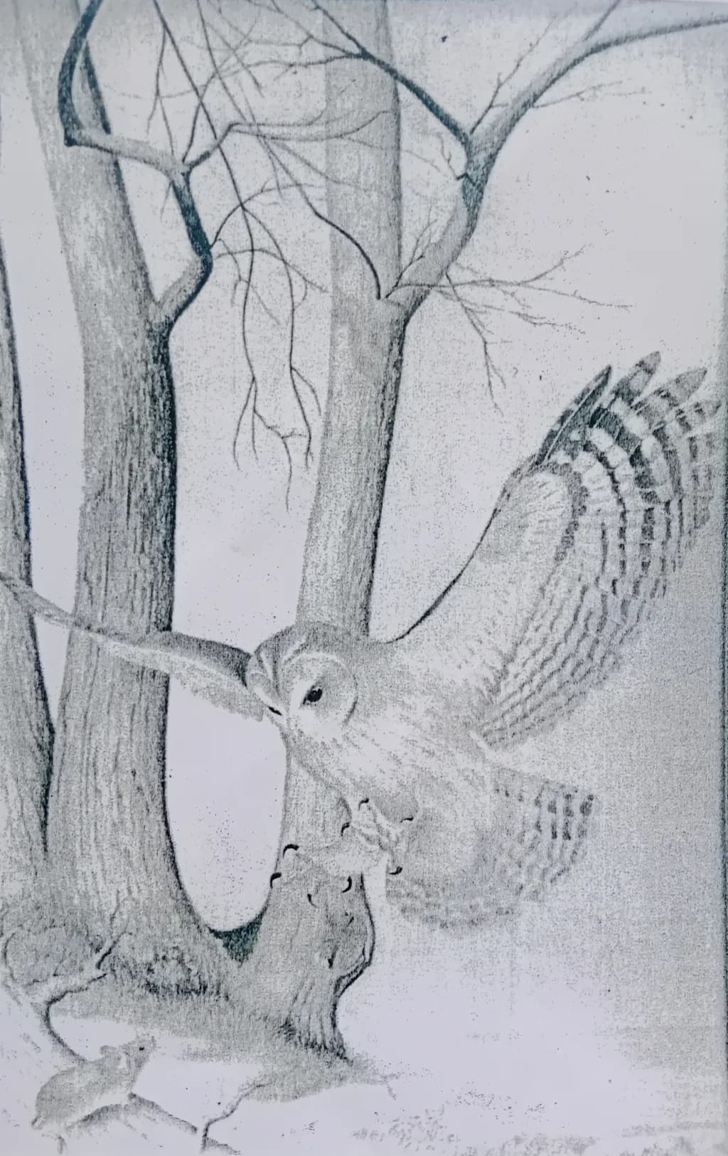 Forest Flight