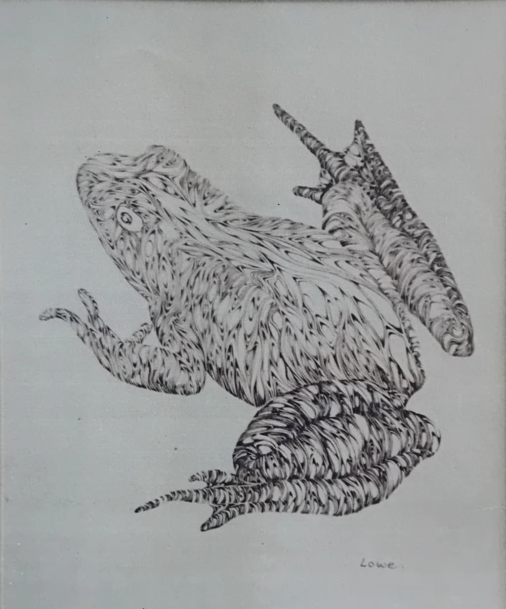 Textured Frog