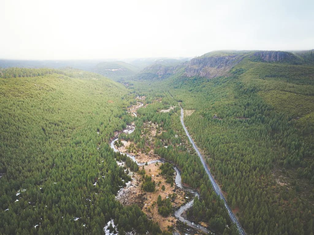 Whispers of Tranquility: A Serene Forest Landscape with Meandering River