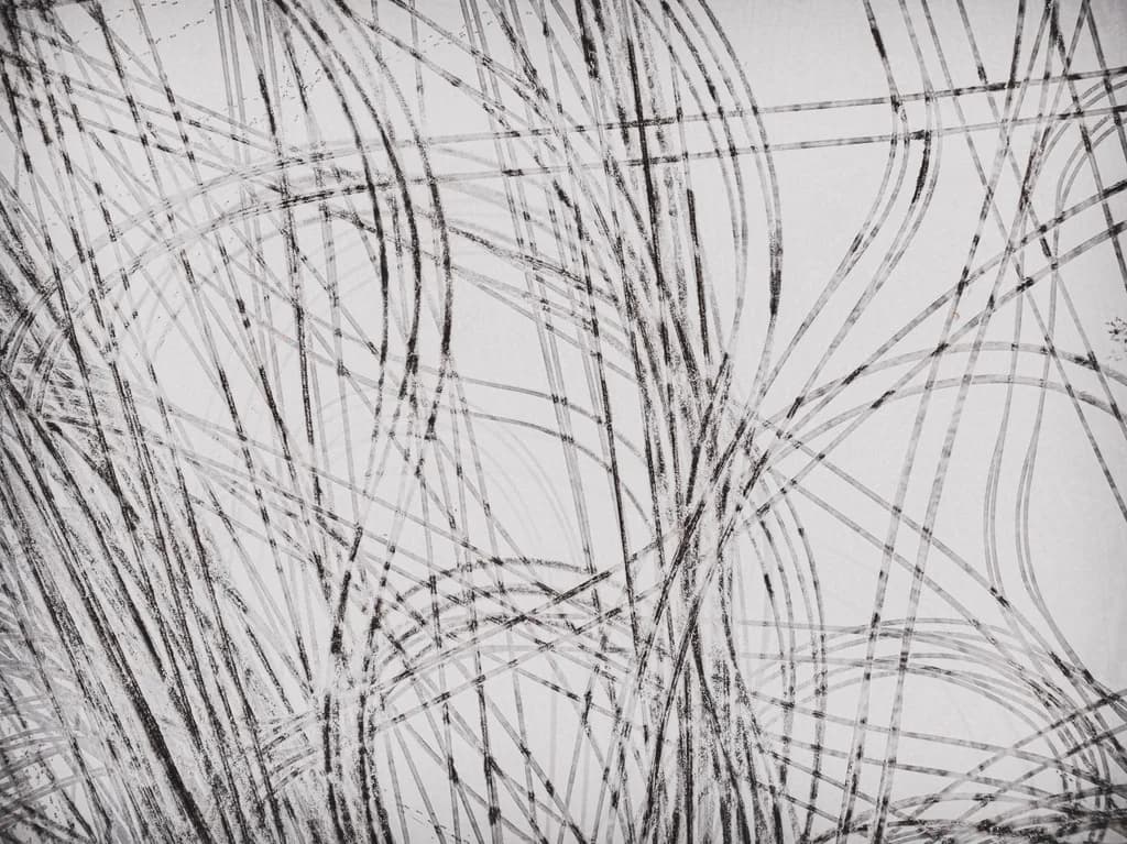 Whispers of Motion: A Dance of Lines and Shadows