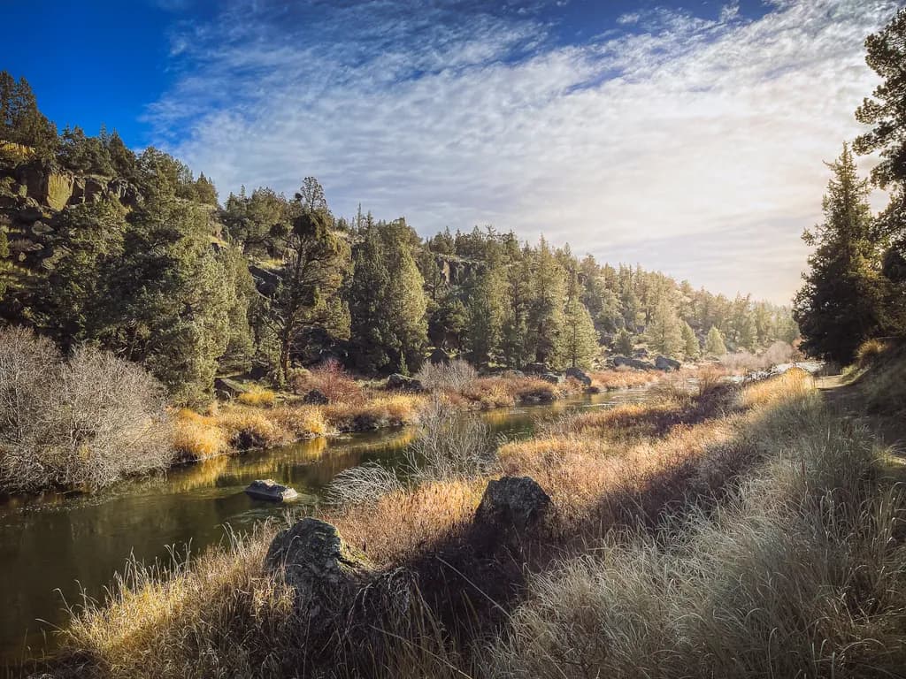 Serenity in Autumn: A Tranquil River Landscape Amidst Nature's Embrace