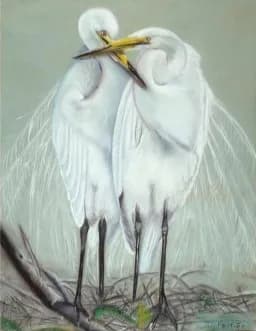 Great Egret Embrace