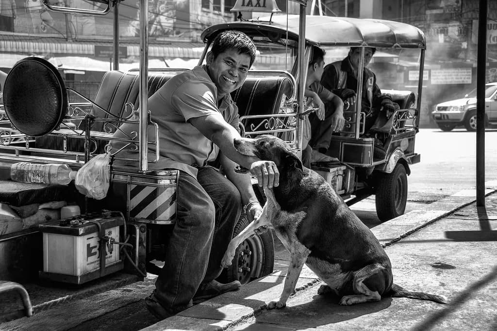 Joyful Encounters: A Black and White Celebration of Friendship Between Man and Dog in the Heart of the City