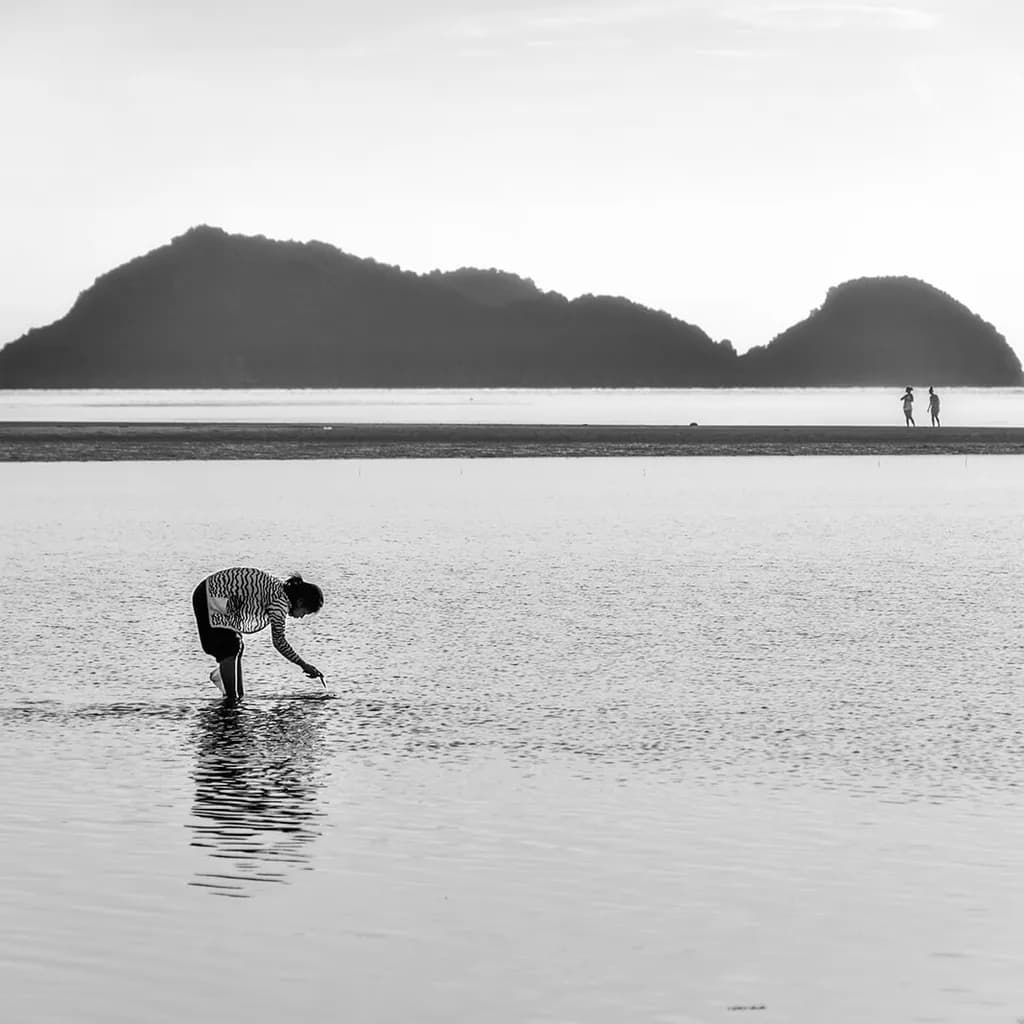 Whispers of the Tide: A Solitary Reflection in Monochrome Serenity