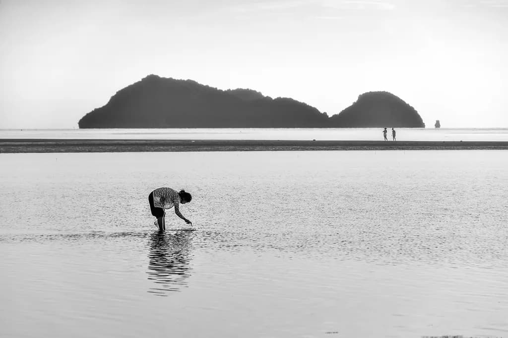 Whispers of the Tide: A Solitary Figure in Tranquil Waters