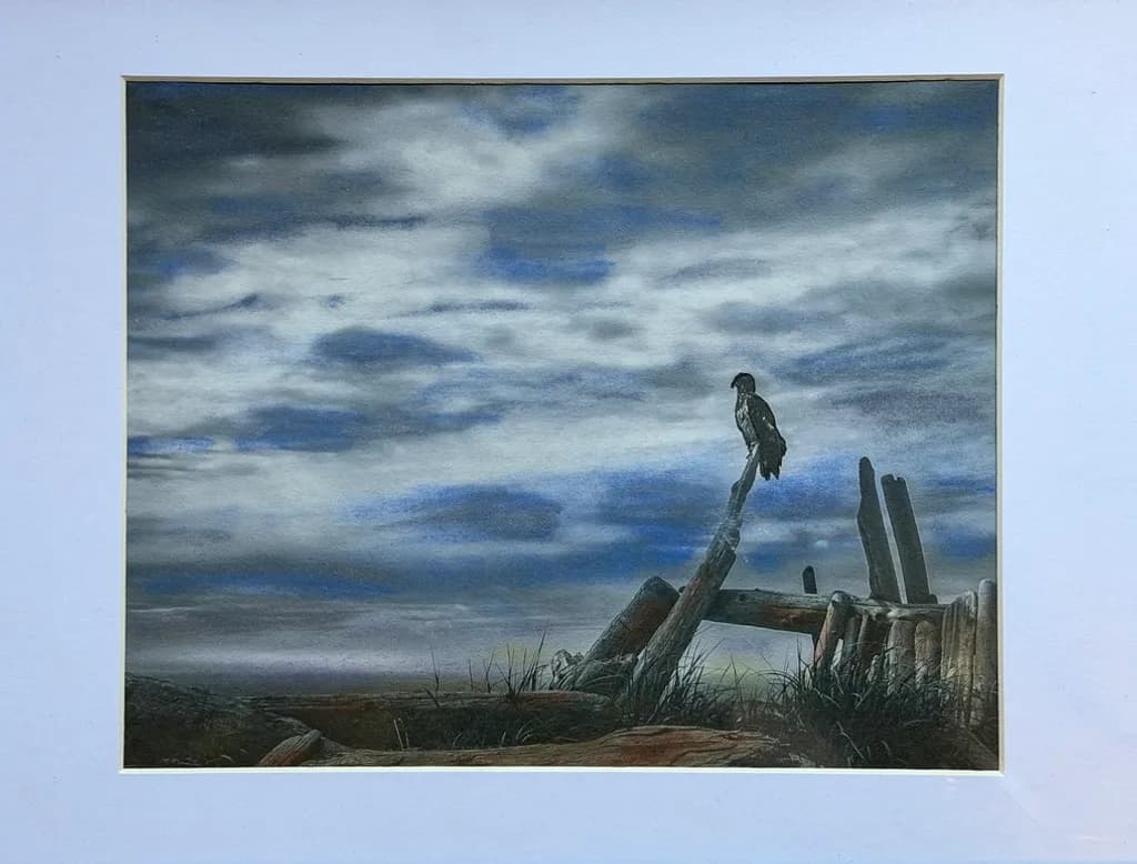 Perched Hawk at Dusk