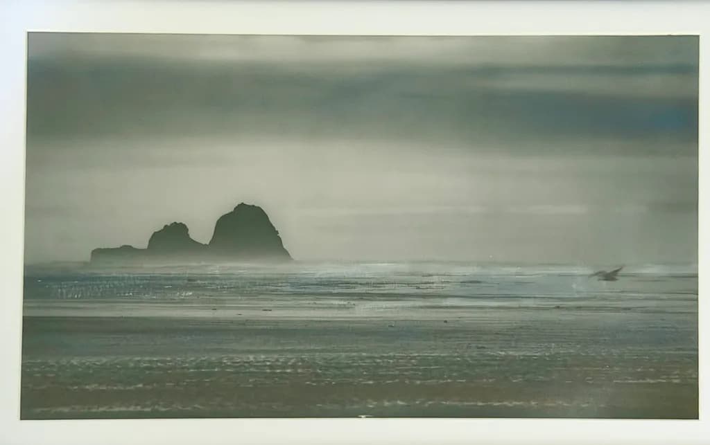 Misty Island Shore