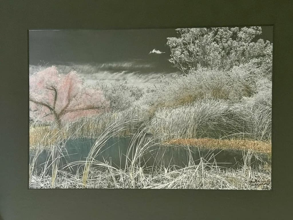 Pond Reeds and Trees