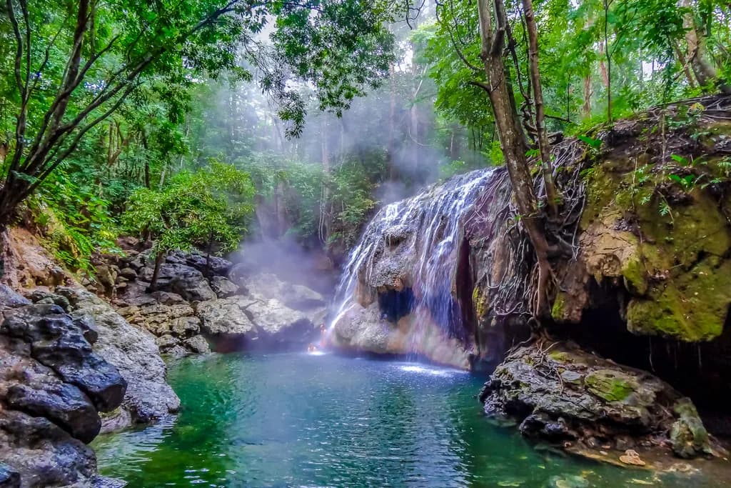Paradise