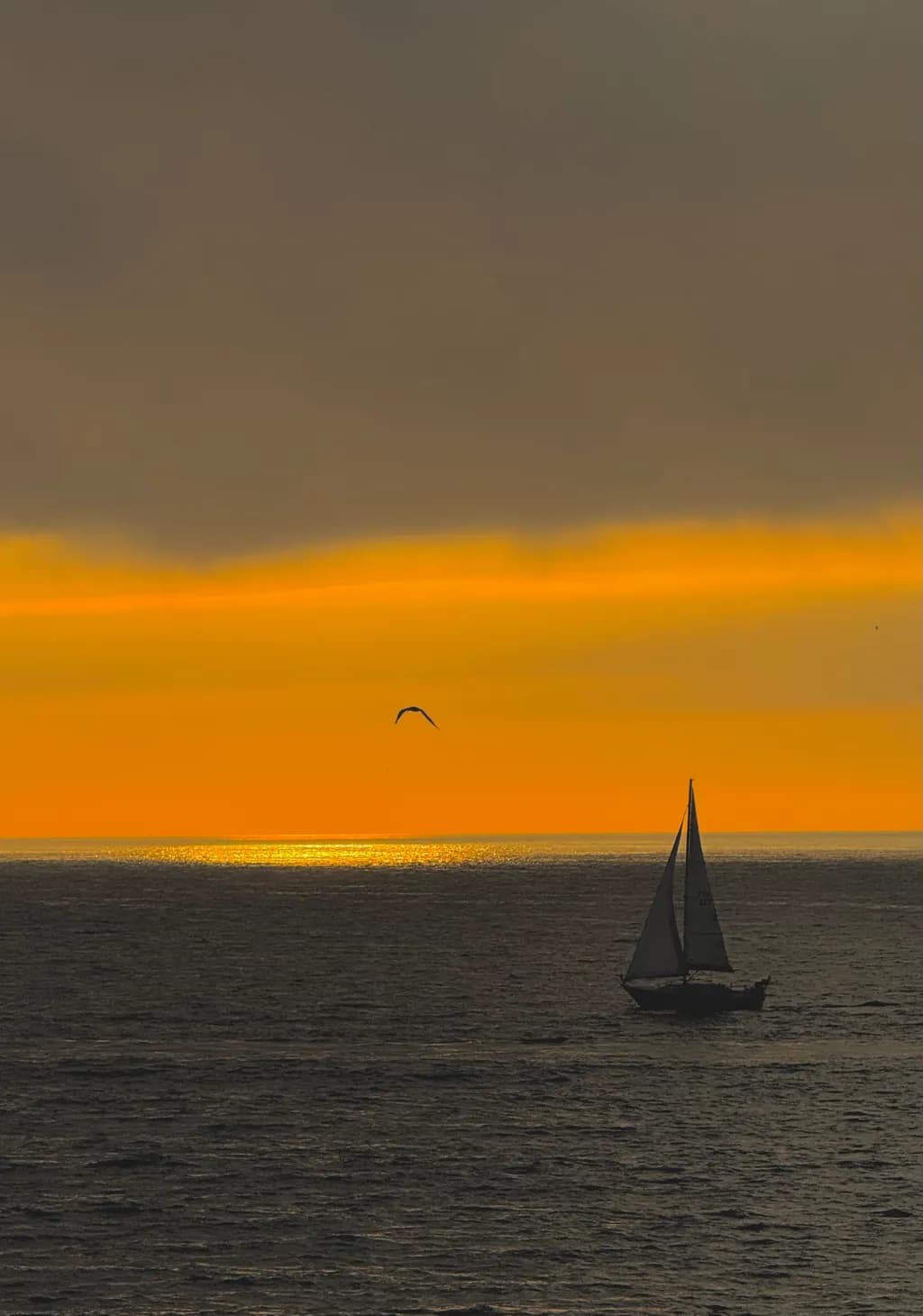 Whispers of the Horizon: A Sailor's Journey at Sunset