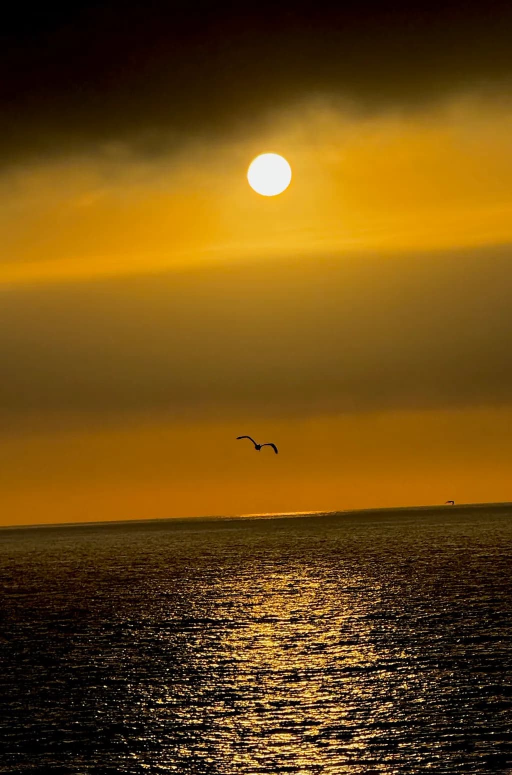 Golden Serenity: A Sunset Reflection Over Tranquil Waters