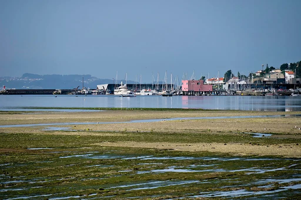 Serenity by the Shore: A Coastal Reflection of Tranquil Waters and Vibrant Harbor Life