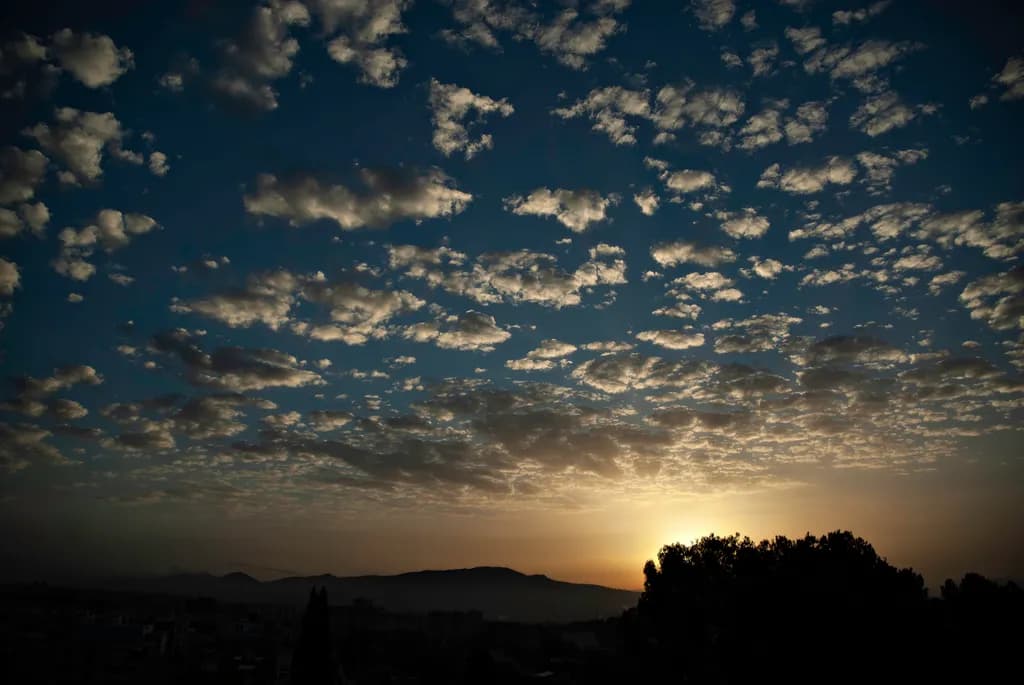 Dusk Horizon
