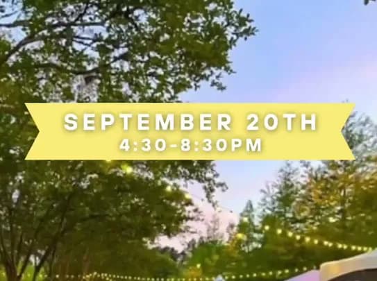 Whimsical Evenings: A Starlit Soirée Under the Trees