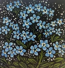 Midnight Forget Me Nots