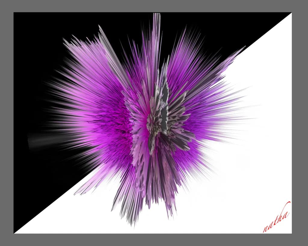Floral Burst