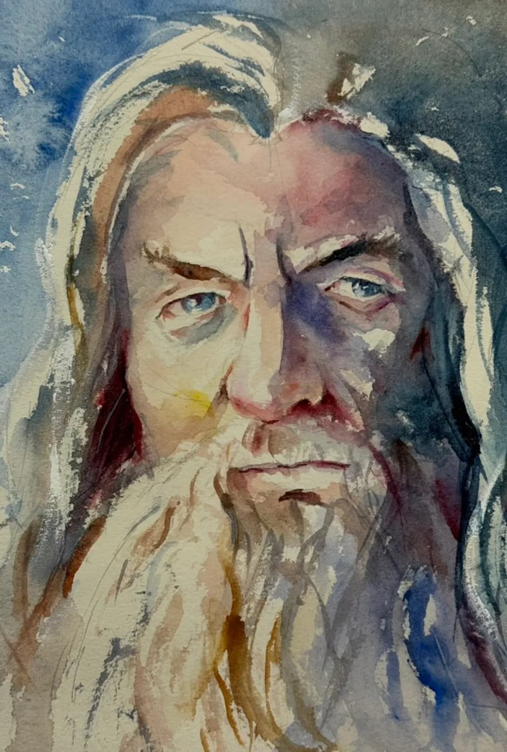 Wise Gaze