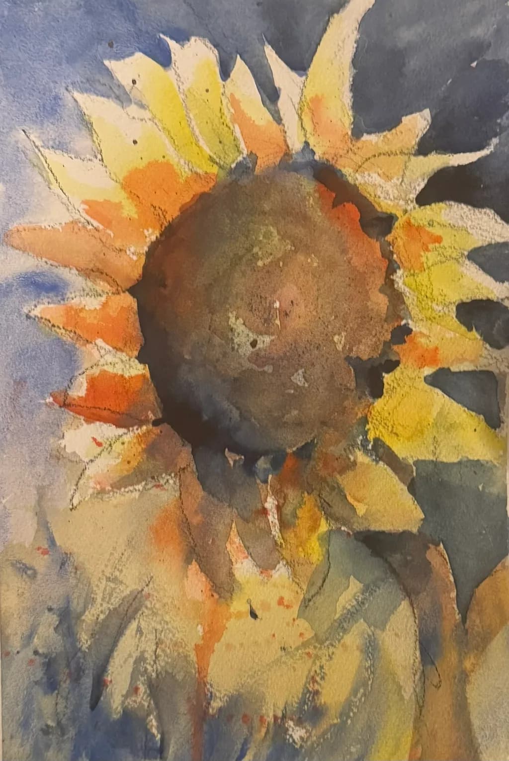 Sunflower Bloom