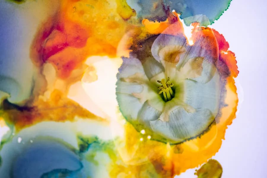 Whispers of Color: A Floral Dance in Alcohol Ink Art