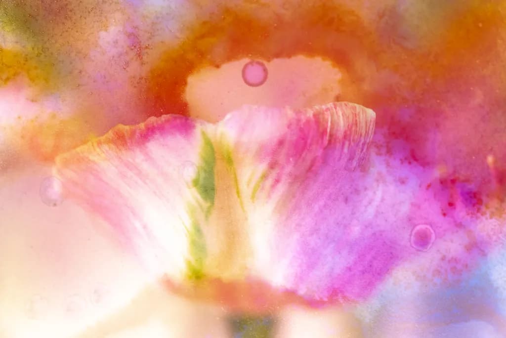 Whispers of Color: A Dreamy Floral Abstraction