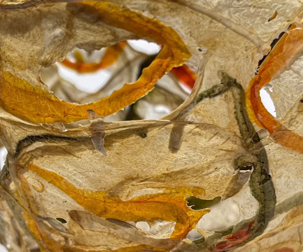 Whispers of Color: A Delicate Dance of Translucent Textures in Abstract Art