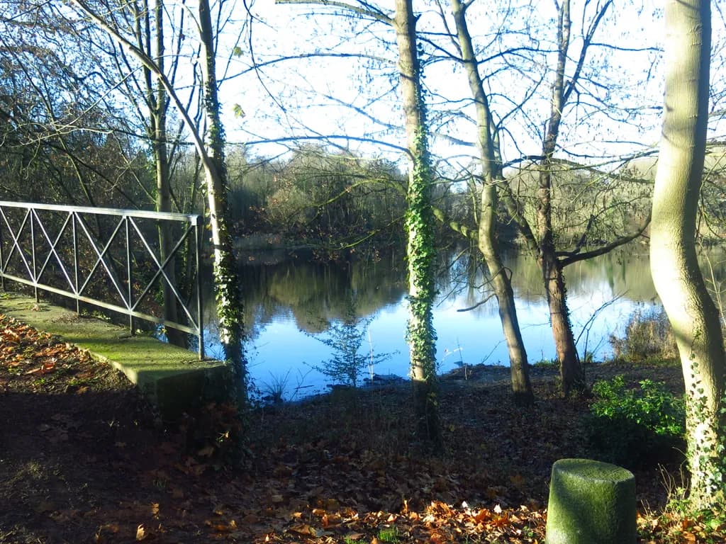 Whispers of Tranquility: A Serene Reflection by the Water's Edge