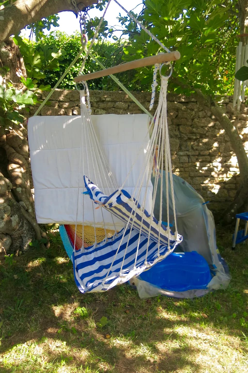 Serenity in Stripes: A Hammock Retreat Amidst Lush Greenery