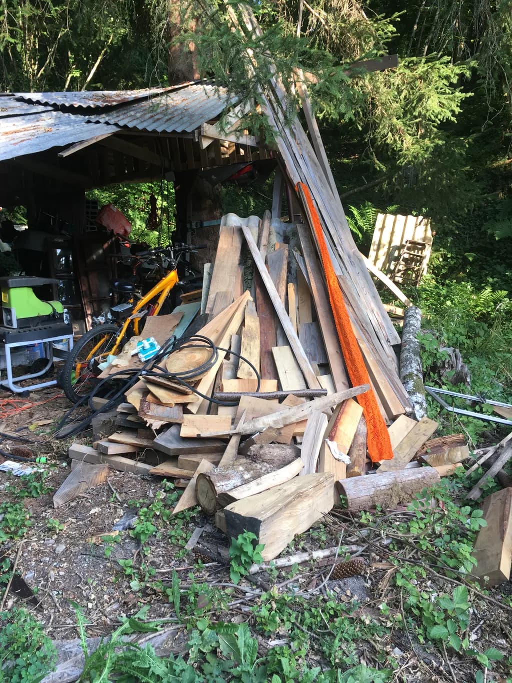 Whispers of Nature: A Rustic Woodpile Amidst the Wilderness