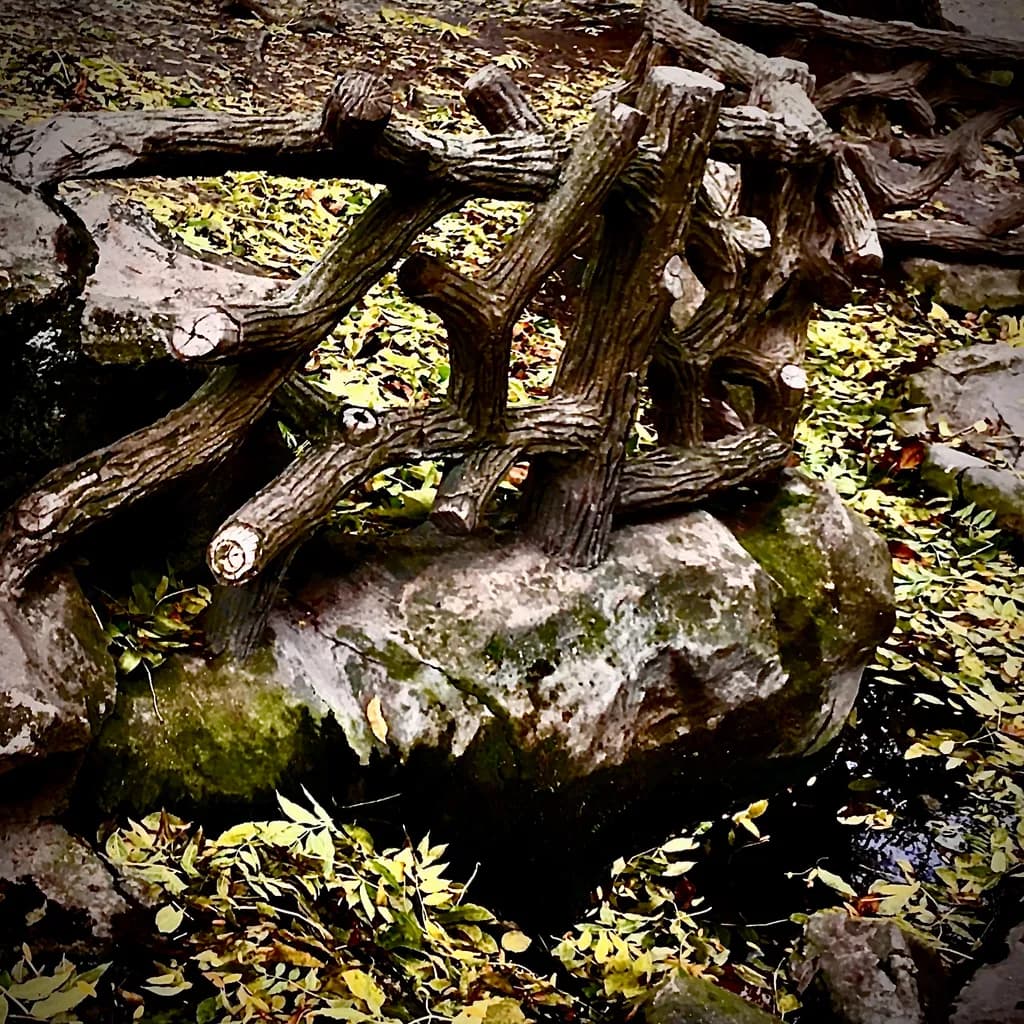 Whispers of Nature: A Rustic Bridge Over Time