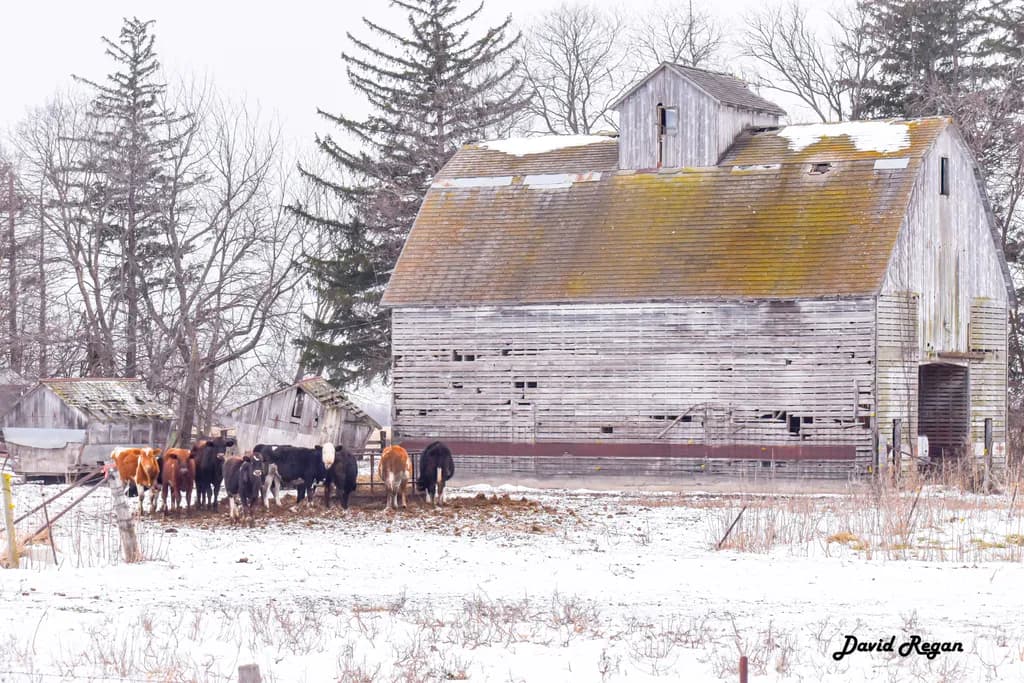 Rustic Winter Gathering