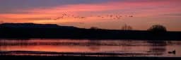 "Sunset Reflections"