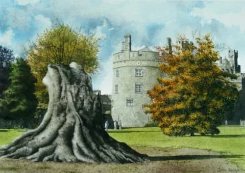 Whispers of Time: The Ancient Tree and Castle Harmony