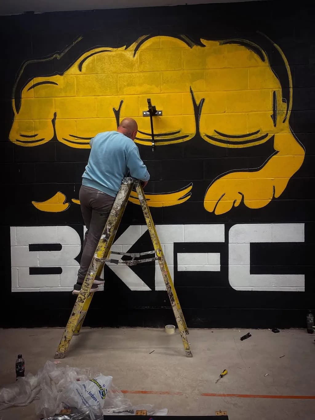 Creative Heights: The Art of Mural Mastery in Urban Spaces