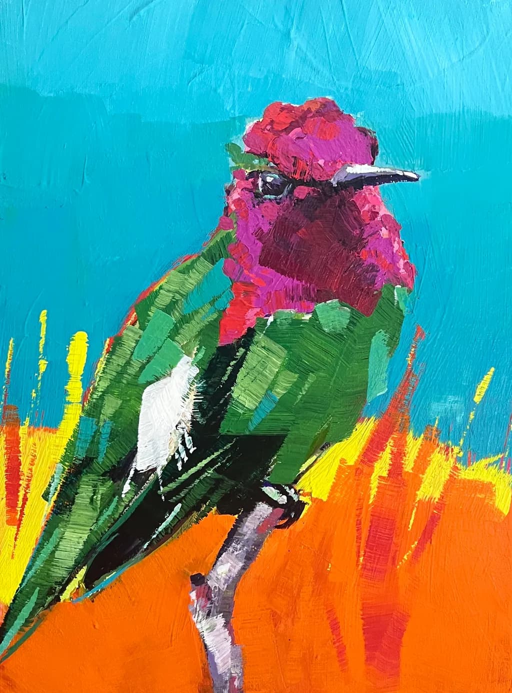Anna's Hummingbird