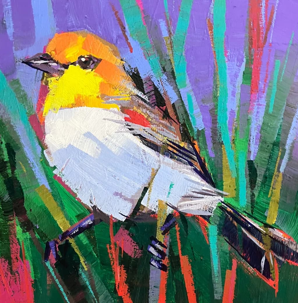 Verdin in Color